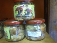 Boletus aereus (καλογερακι)